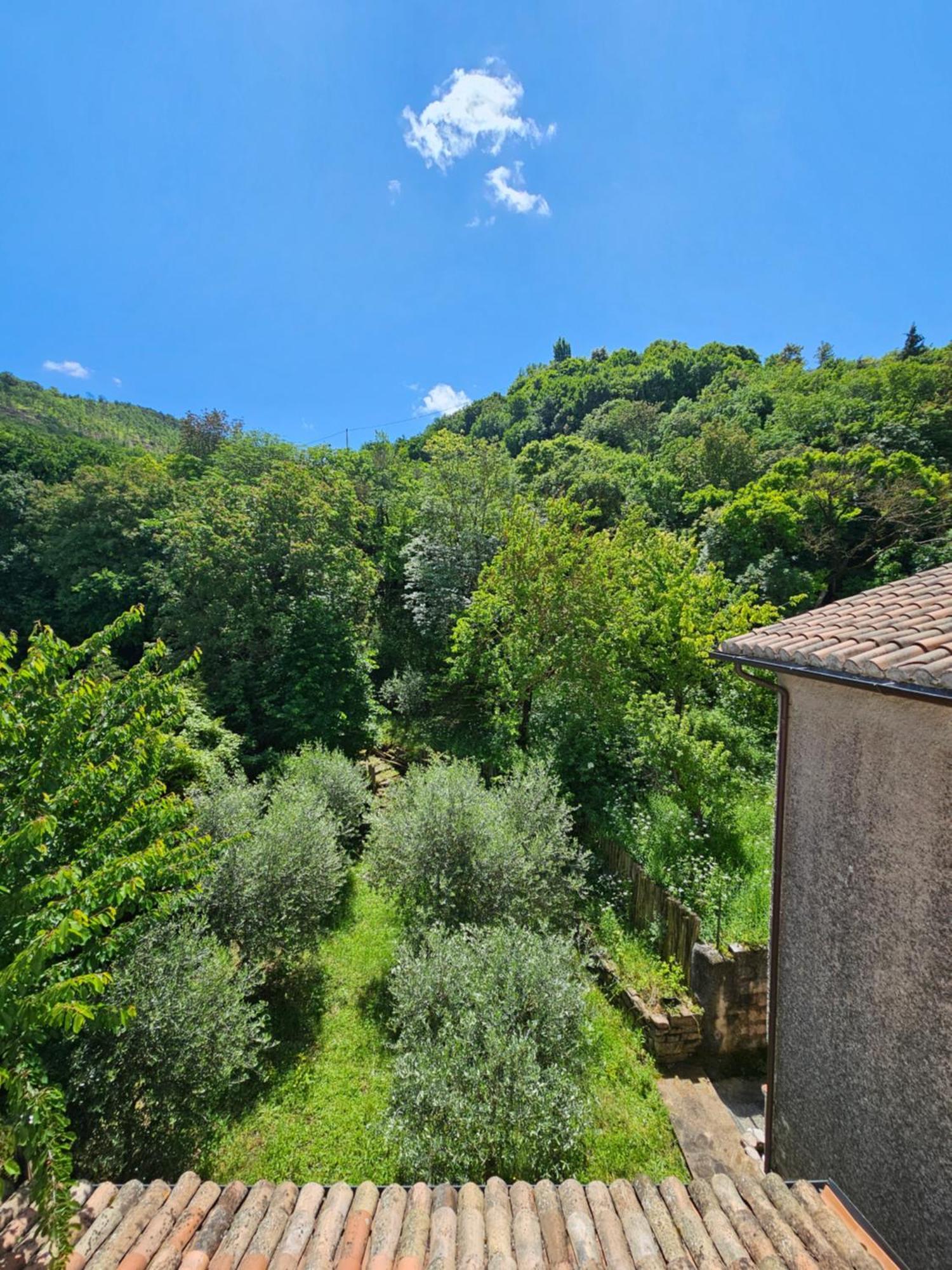 La Rosa Dei Venti - Country House Fossato di Vico Exterior photo